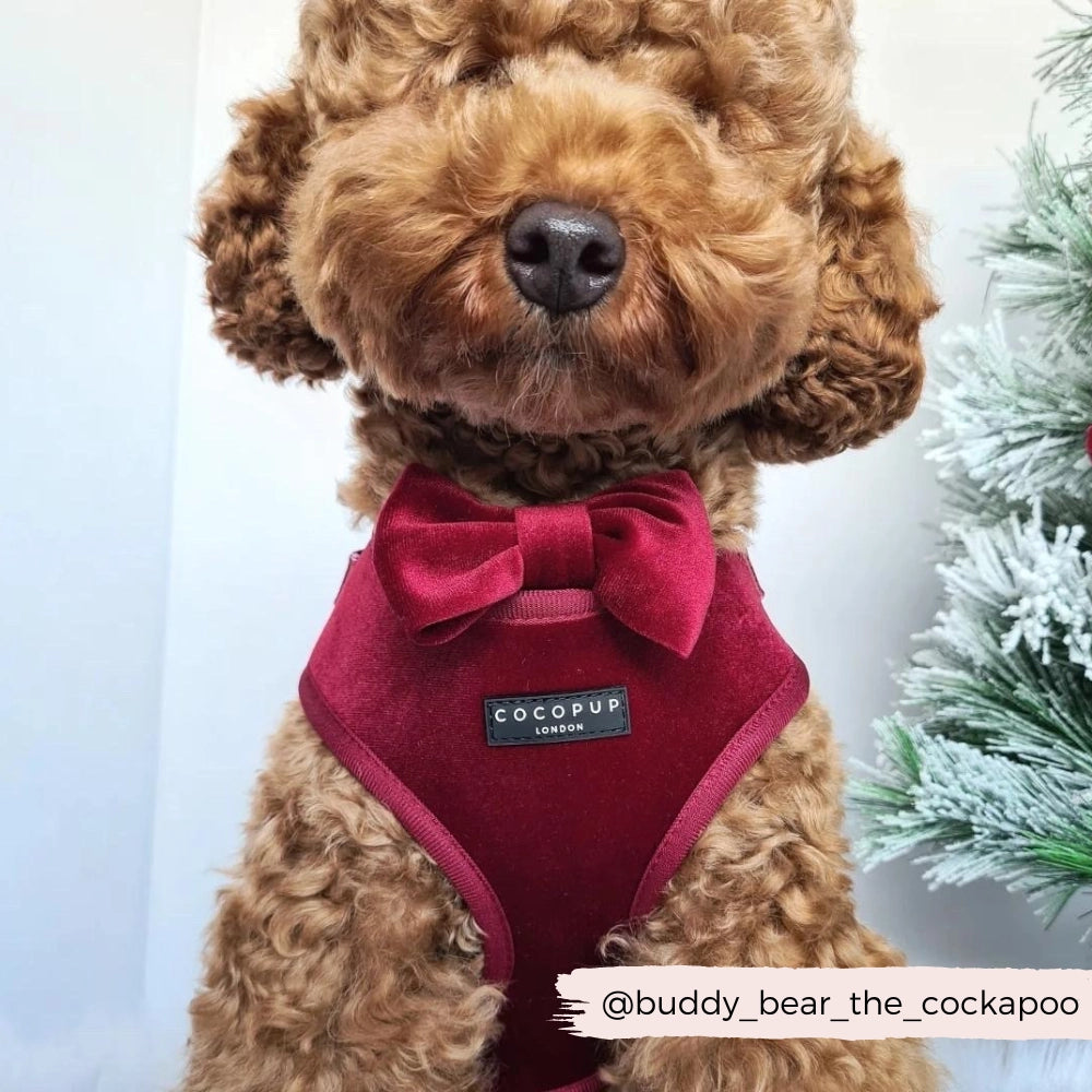 Fliege aus Samt - Beerenrot