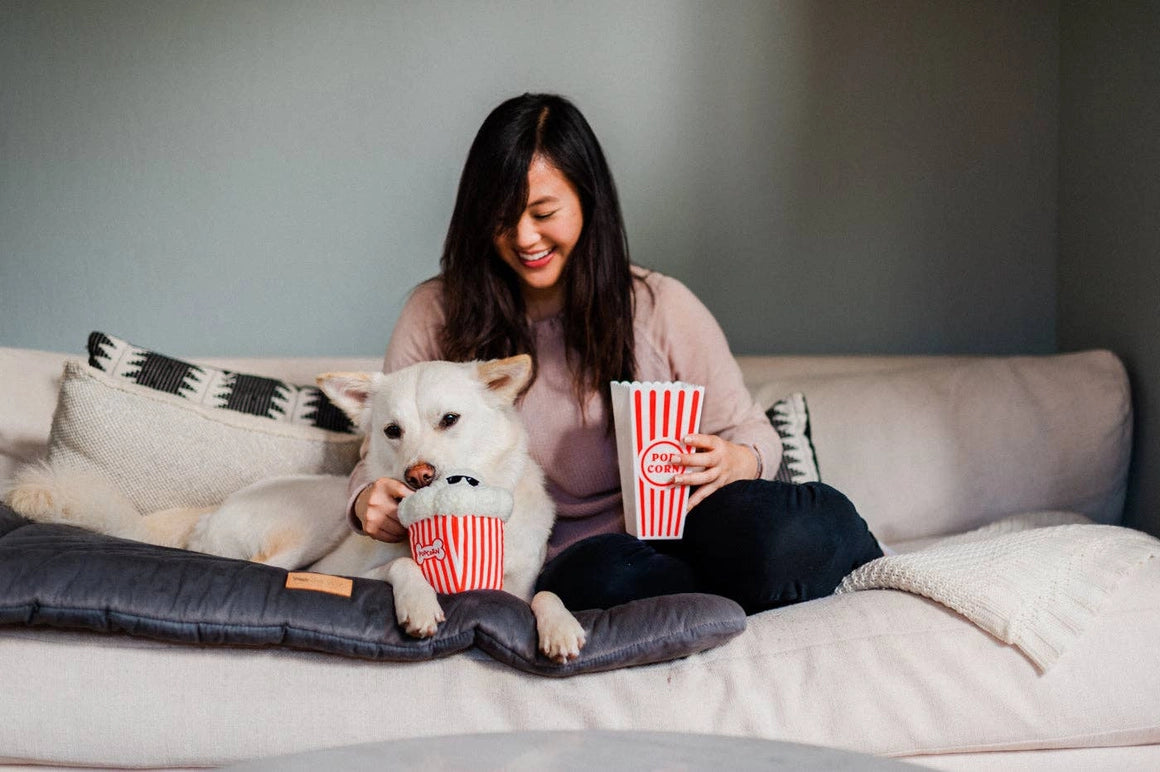 Hollywoof Kino Poppin Pupcorn
