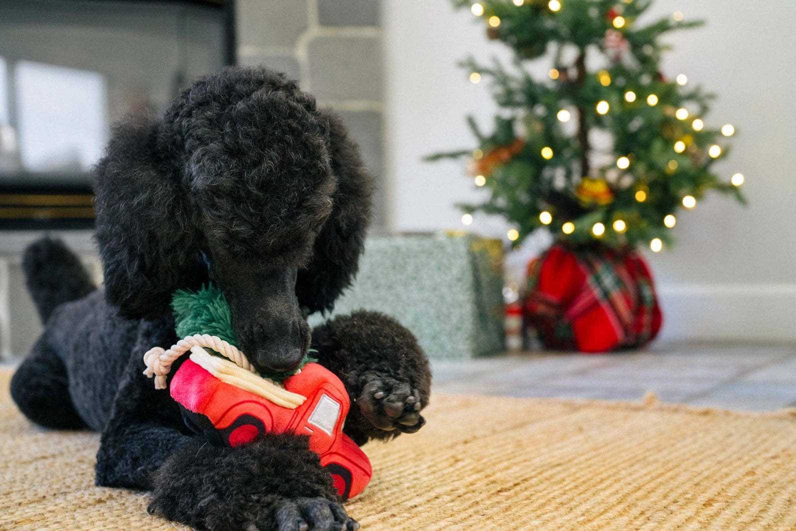 Christmas Truck