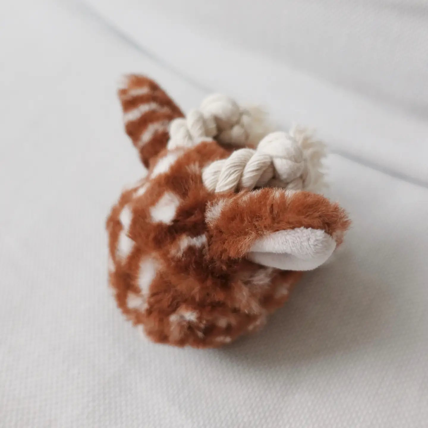 Fawn Pop