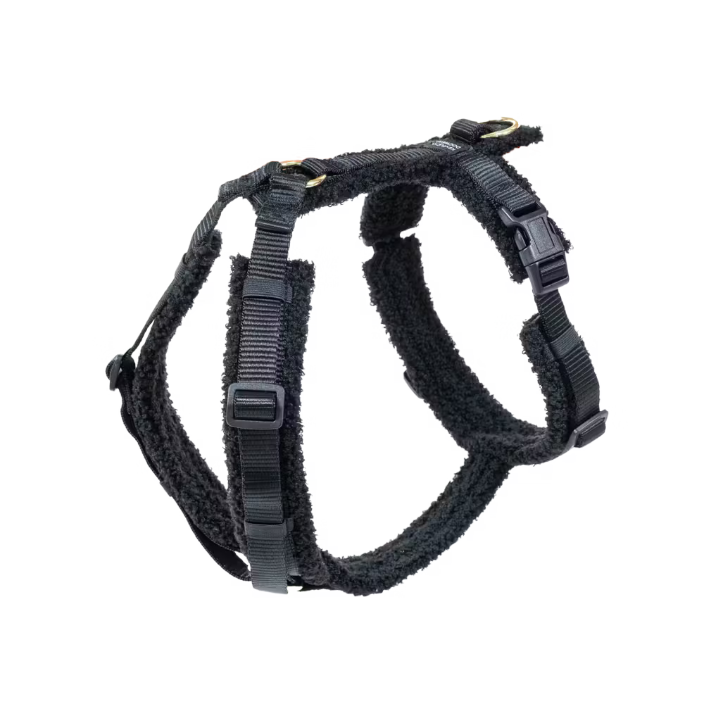 Hundegeschirr Aktiv Teddy Schwarz
