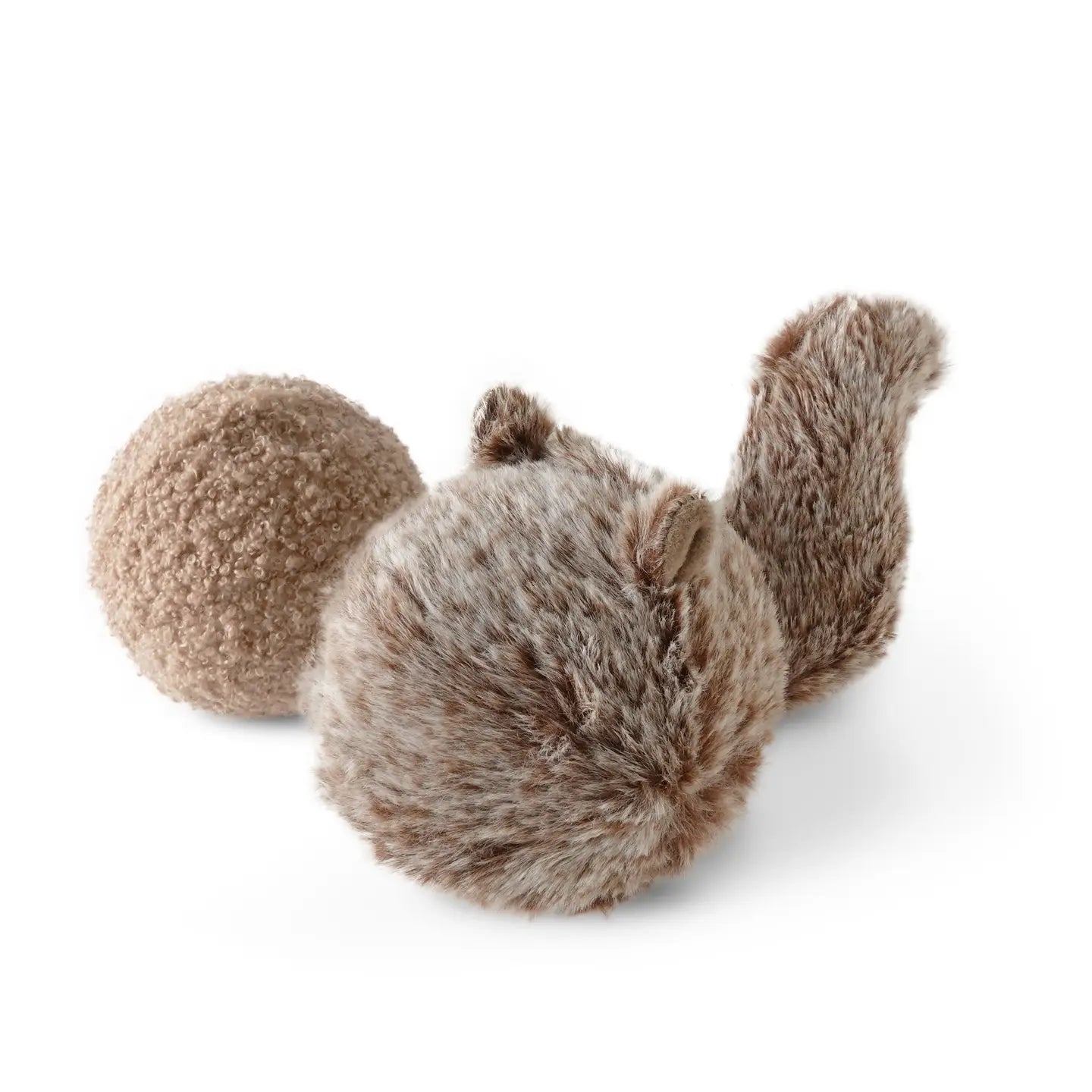 Eichhörnchen Pop