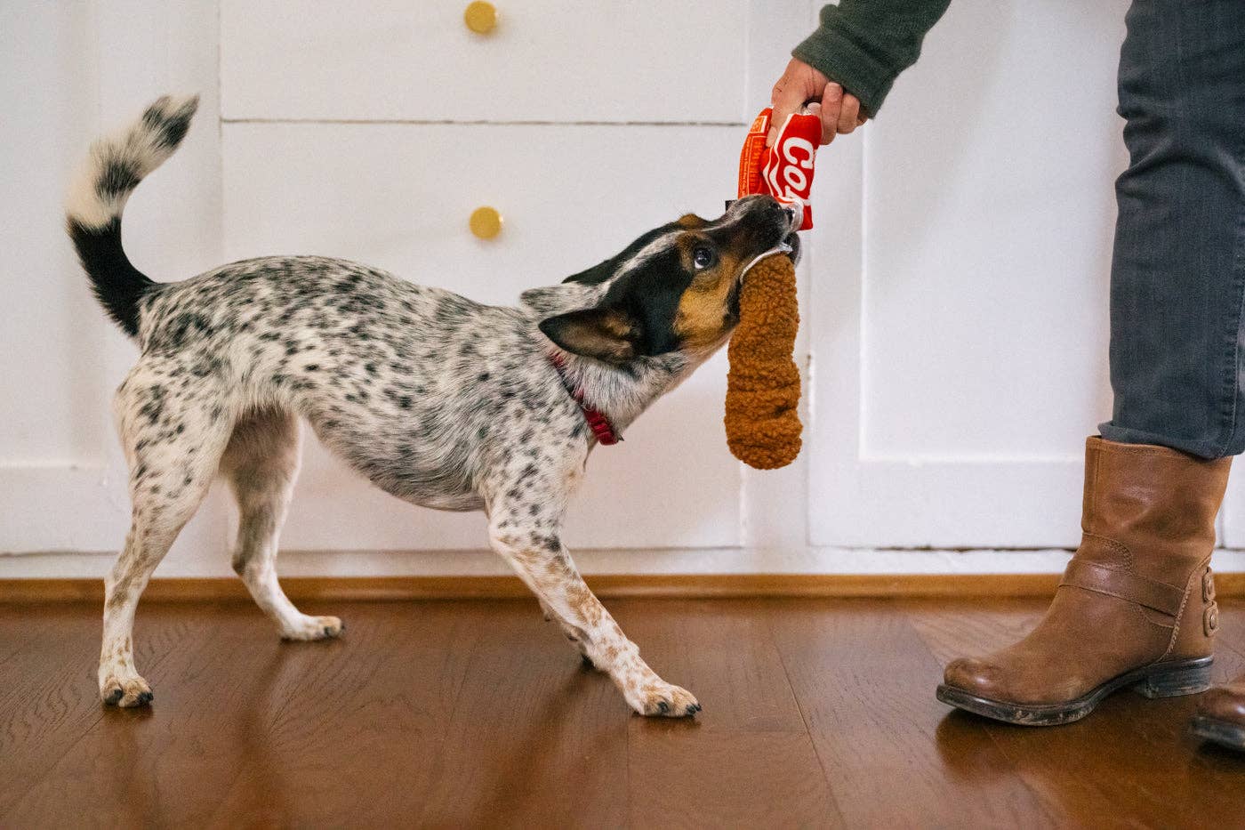 Good Boy Cola