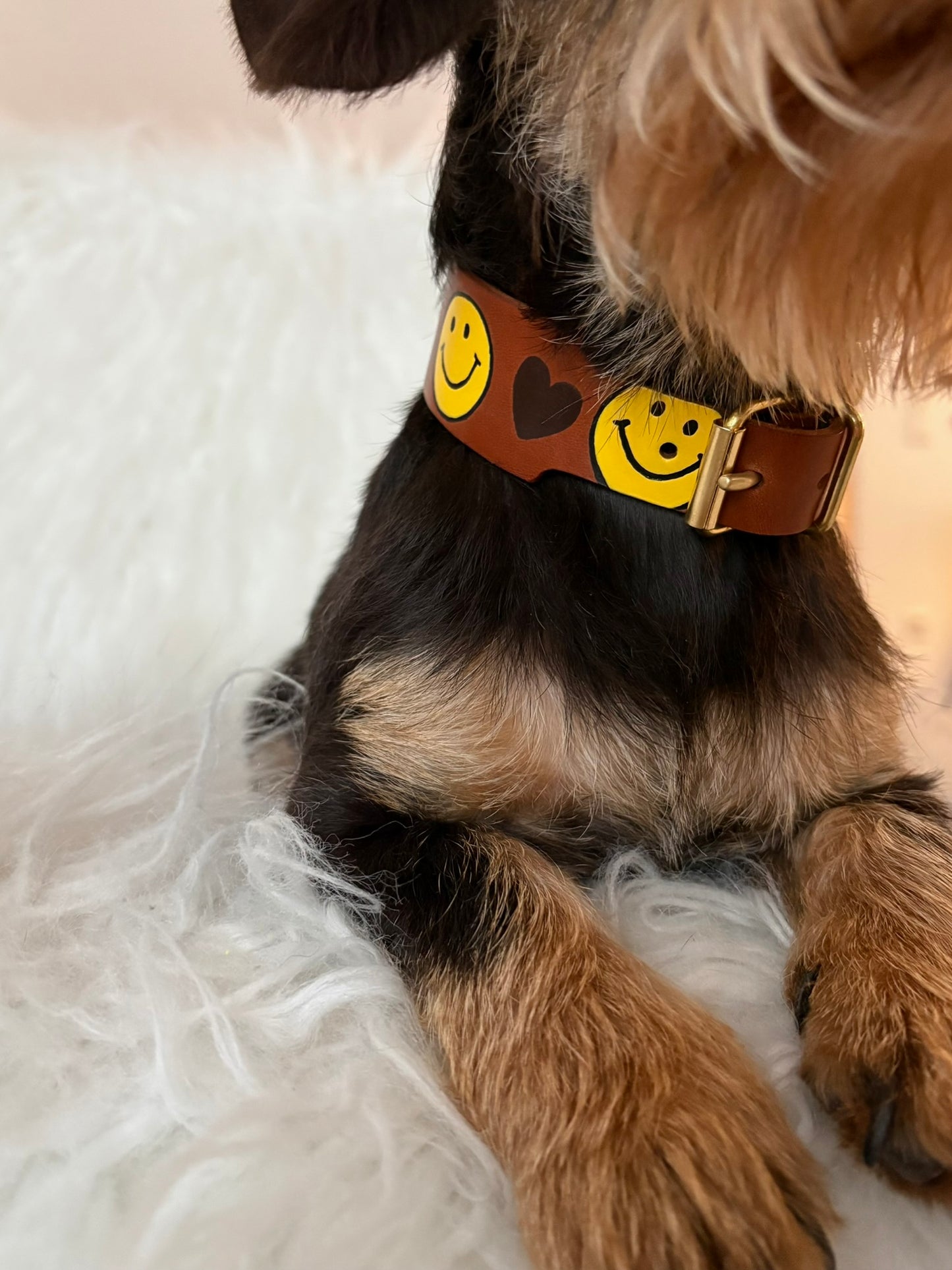 Leder Halsband HAPPY