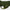Wintermantel Alaska Olive