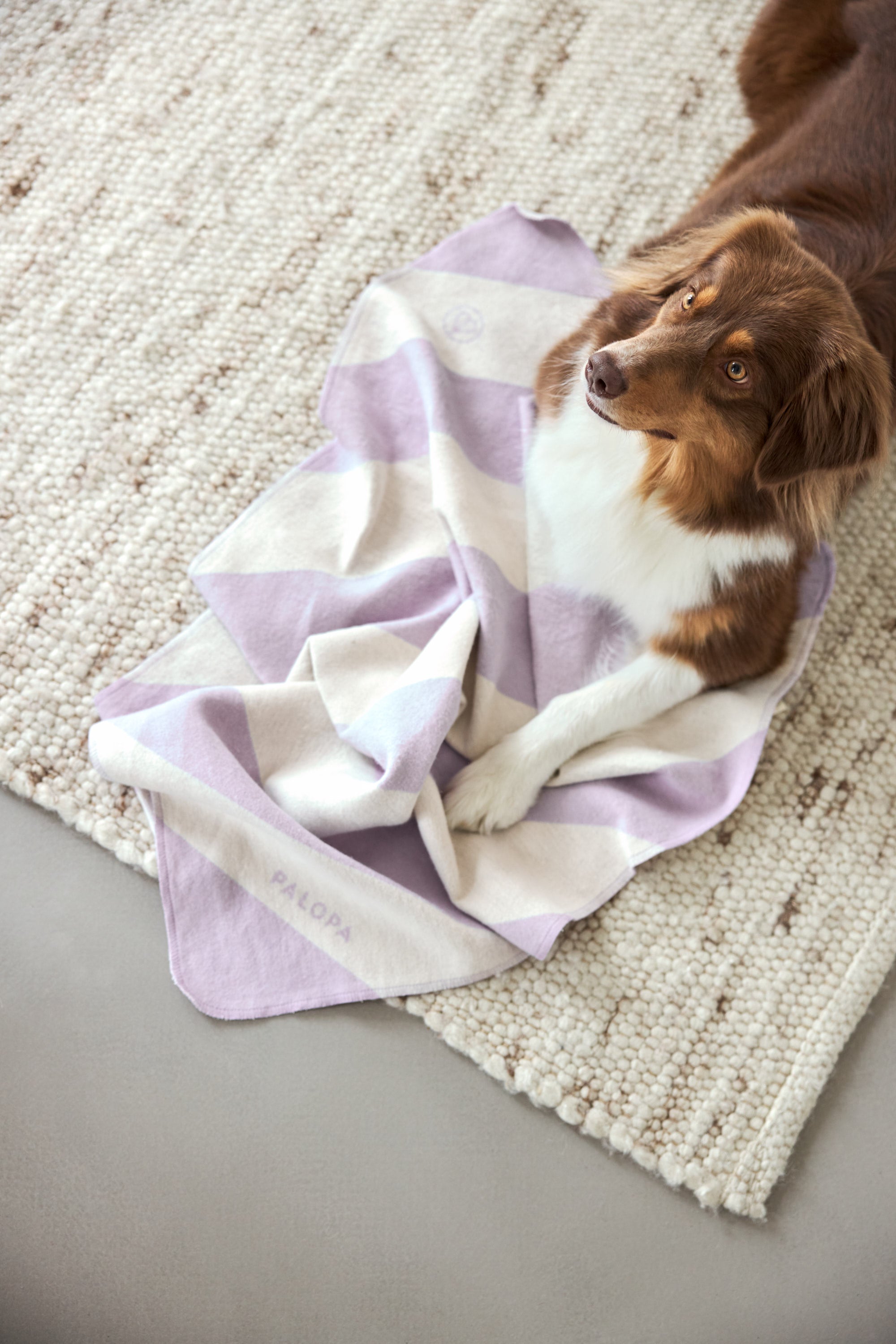 Hundedecke Ida Streifen Rosa Lila