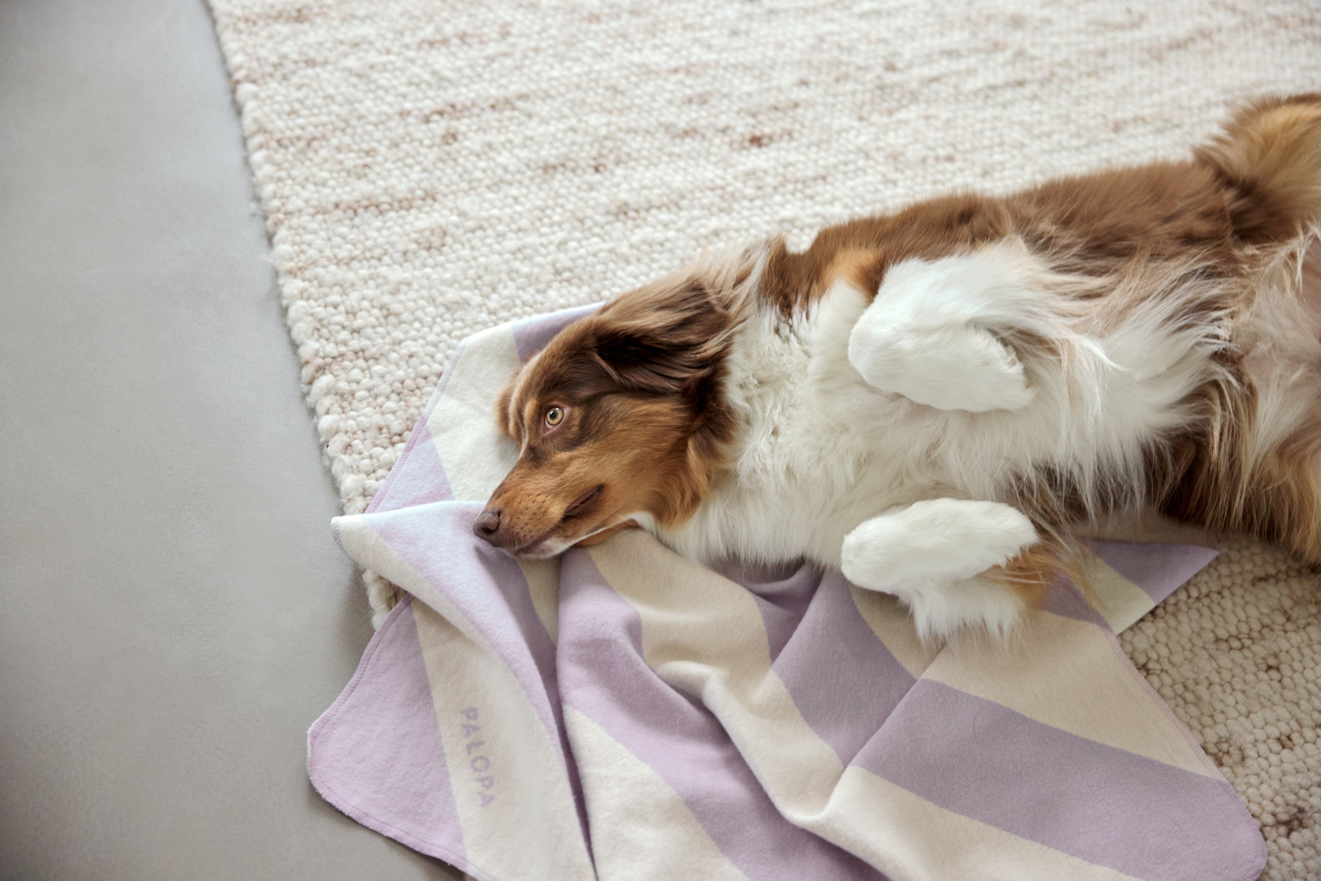 Hundedecke Ida Streifen Rosa Lila