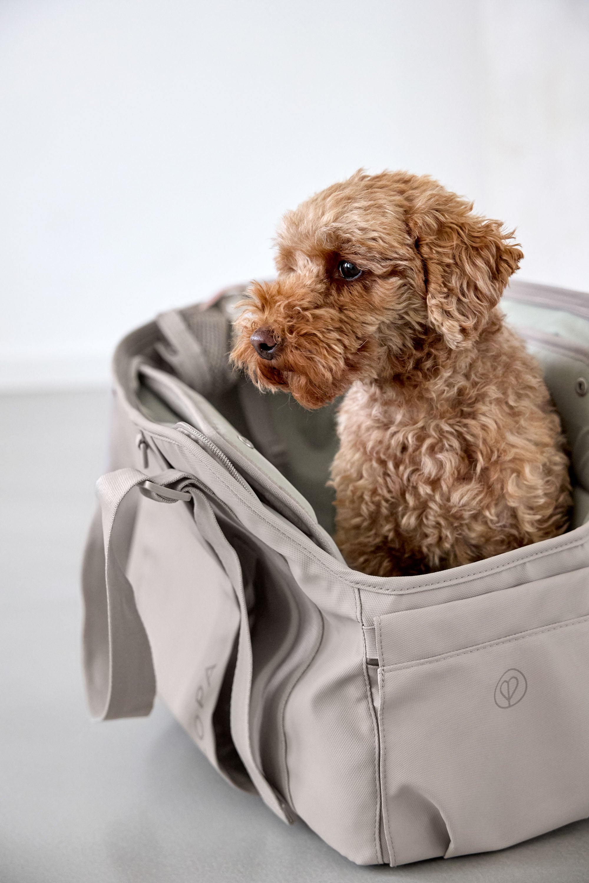 Hundetragetasche Weda Taupe