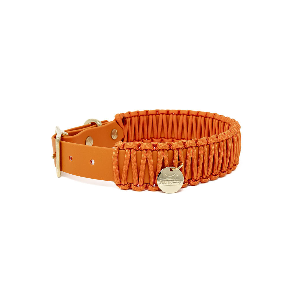 Biothane/Paracord Halsband Fox