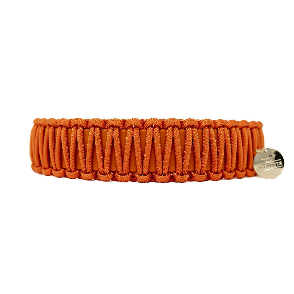 Biothane/Paracord Halsband Fox