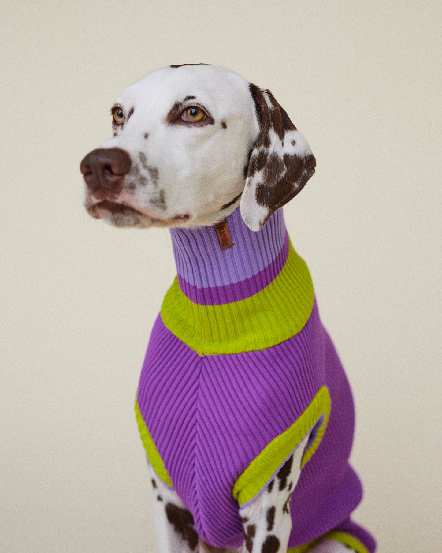 The GLOW Jumper Viola Spring