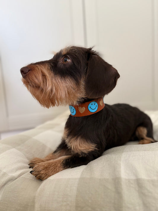 Leder Halsband HAPPY - Sofortkauf