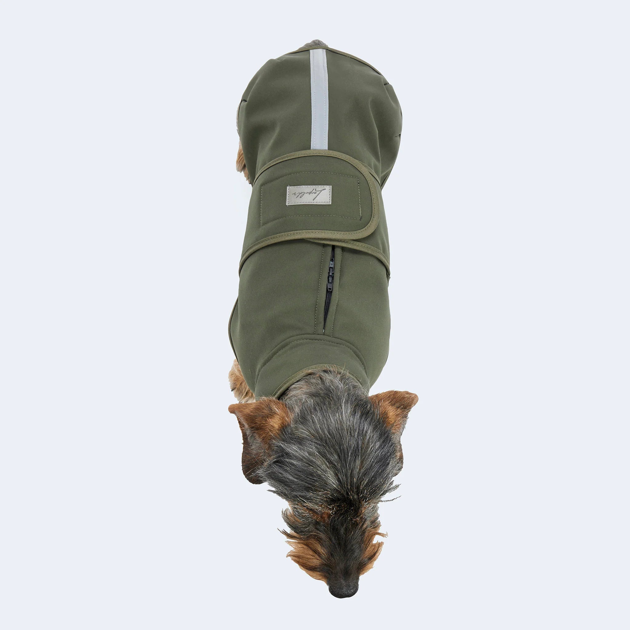 Hundemantel Dackel Softshell Olive