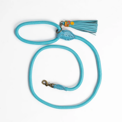 Hundeleine Indian Summer