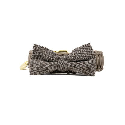 Biothane/Paracord Schleifenhalsband Tan