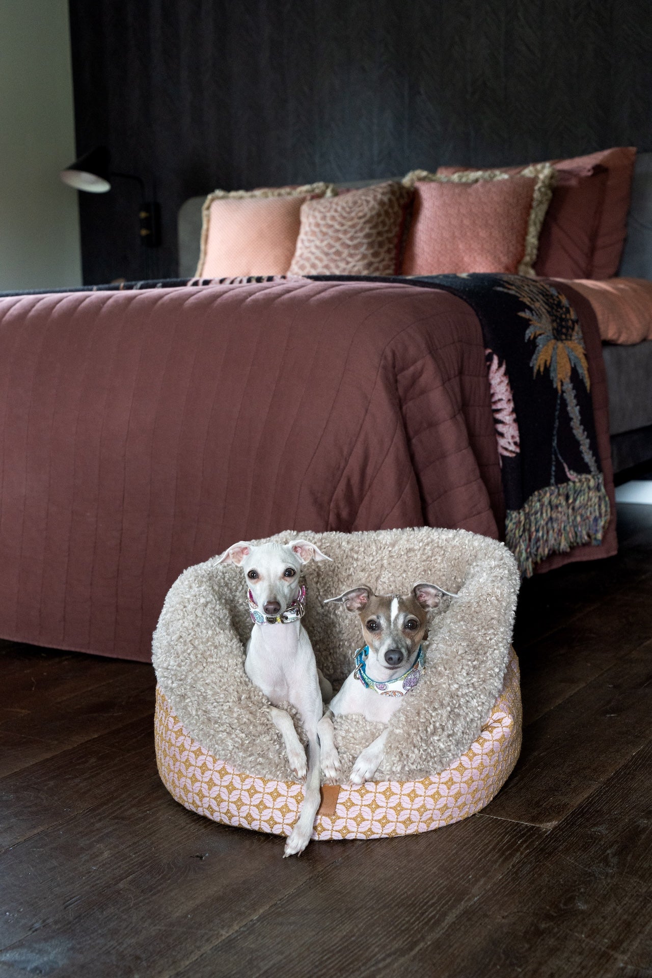 Pooch Pouch Rosedust