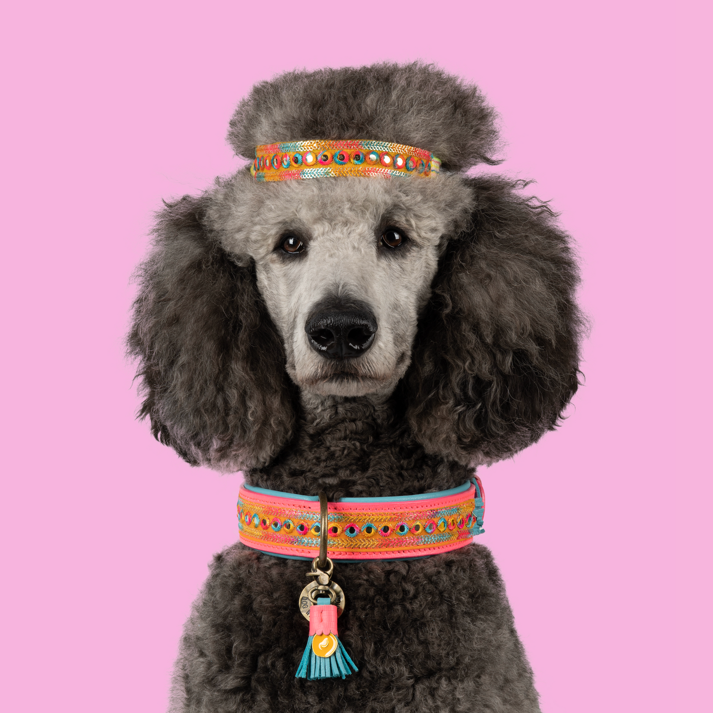 Hundehalsband Indian Summer