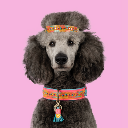 Hundehalsband Indian Summer