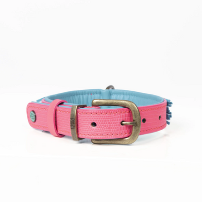 Hundehalsband Indian Summer