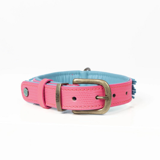 Hundehalsband Indian Summer