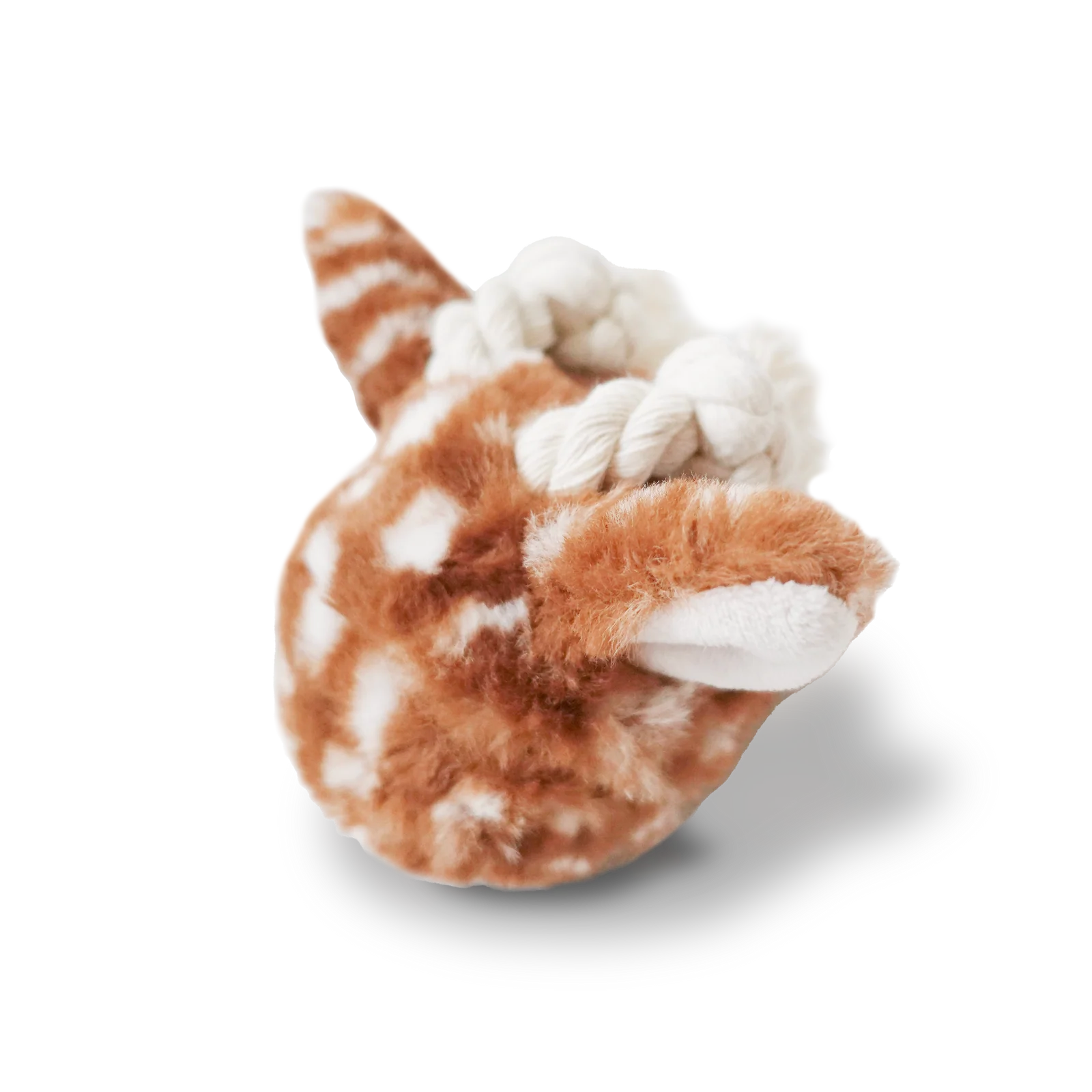 Fawn Pop