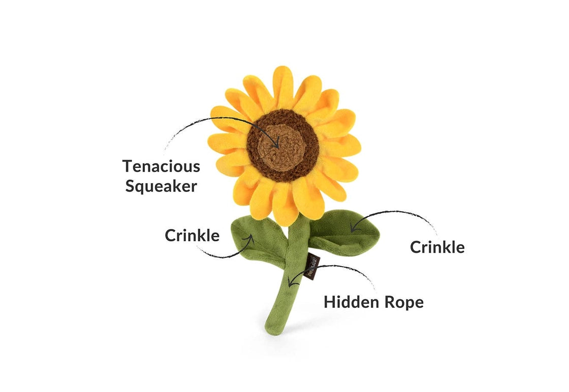 Blooming Buddies Sassy Sunflower