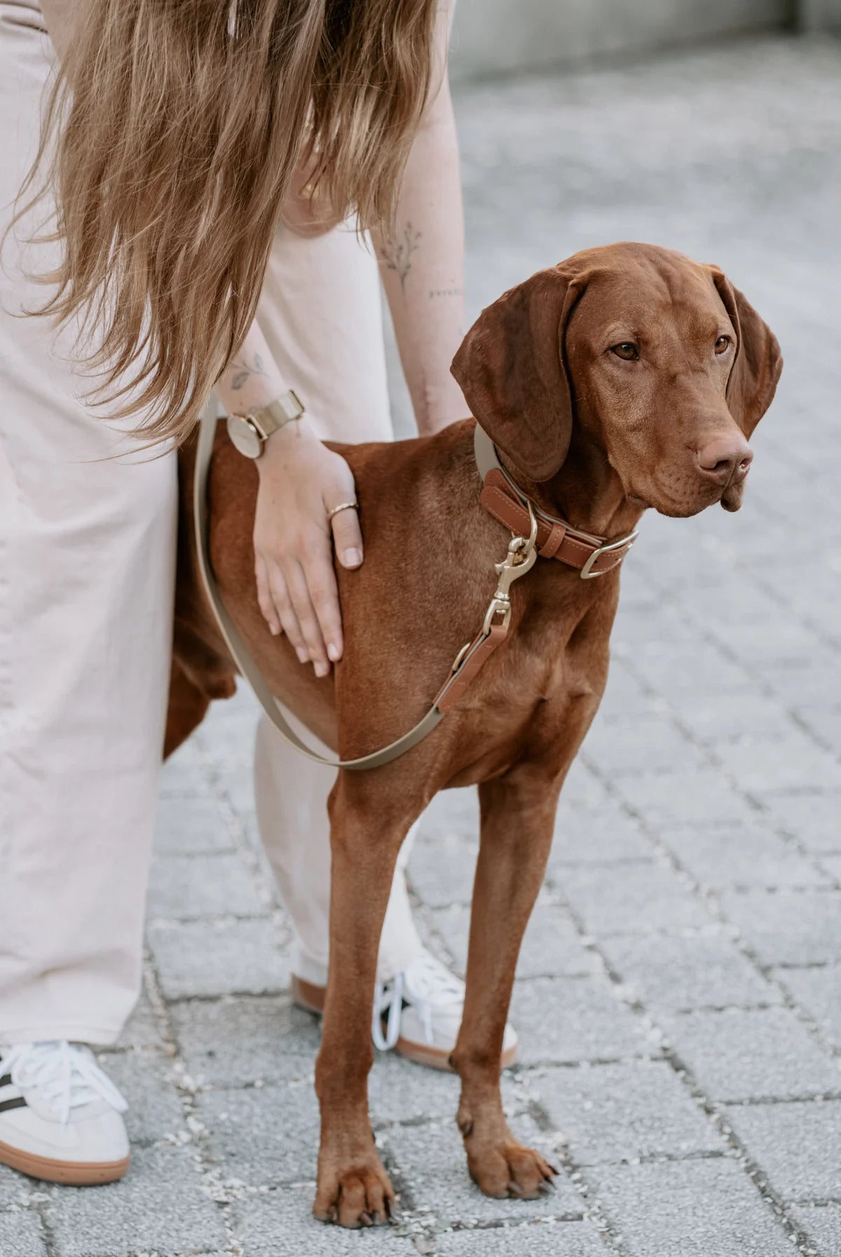 Biothane Halsband Maddison