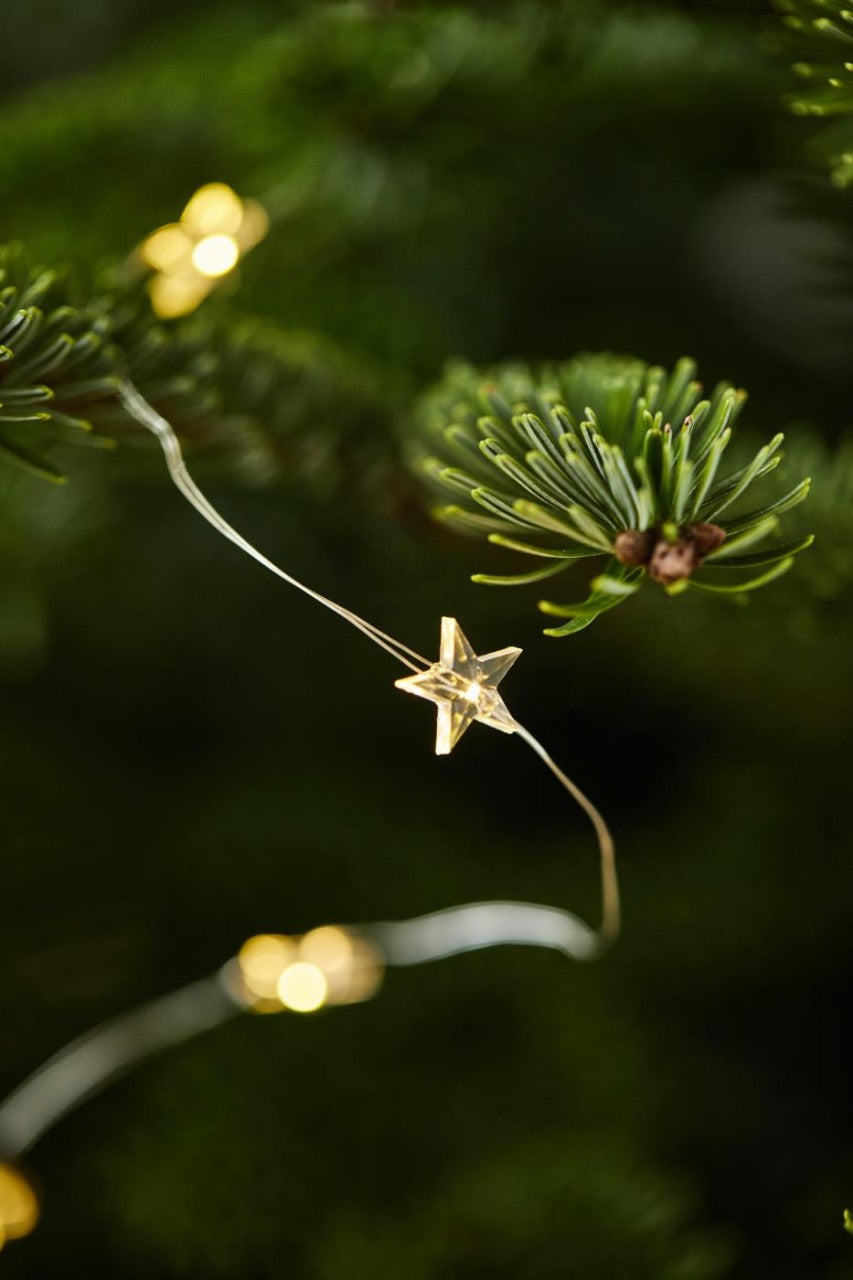 Lichterkette 50 Sterne