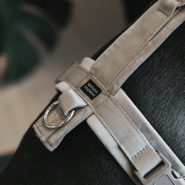 Hundegeschirr Aktiv Velvet Beige