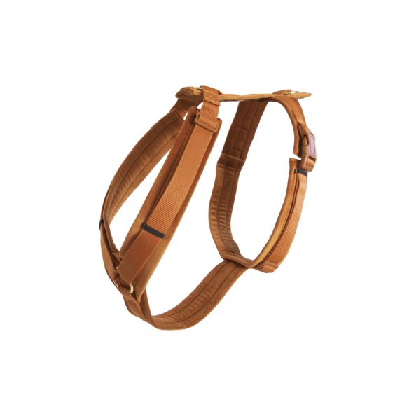Hundegeschirr Aktiv Velvet Orange