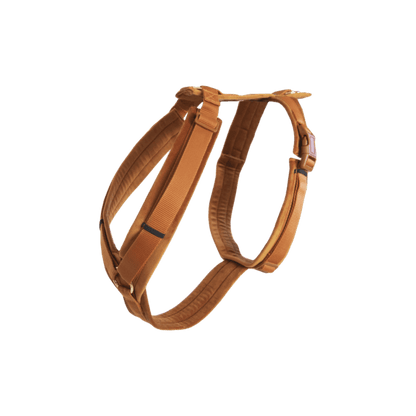 Hundegeschirr Aktiv Velvet Orange