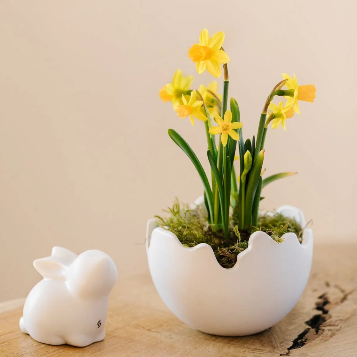 Happy Easter White - Large