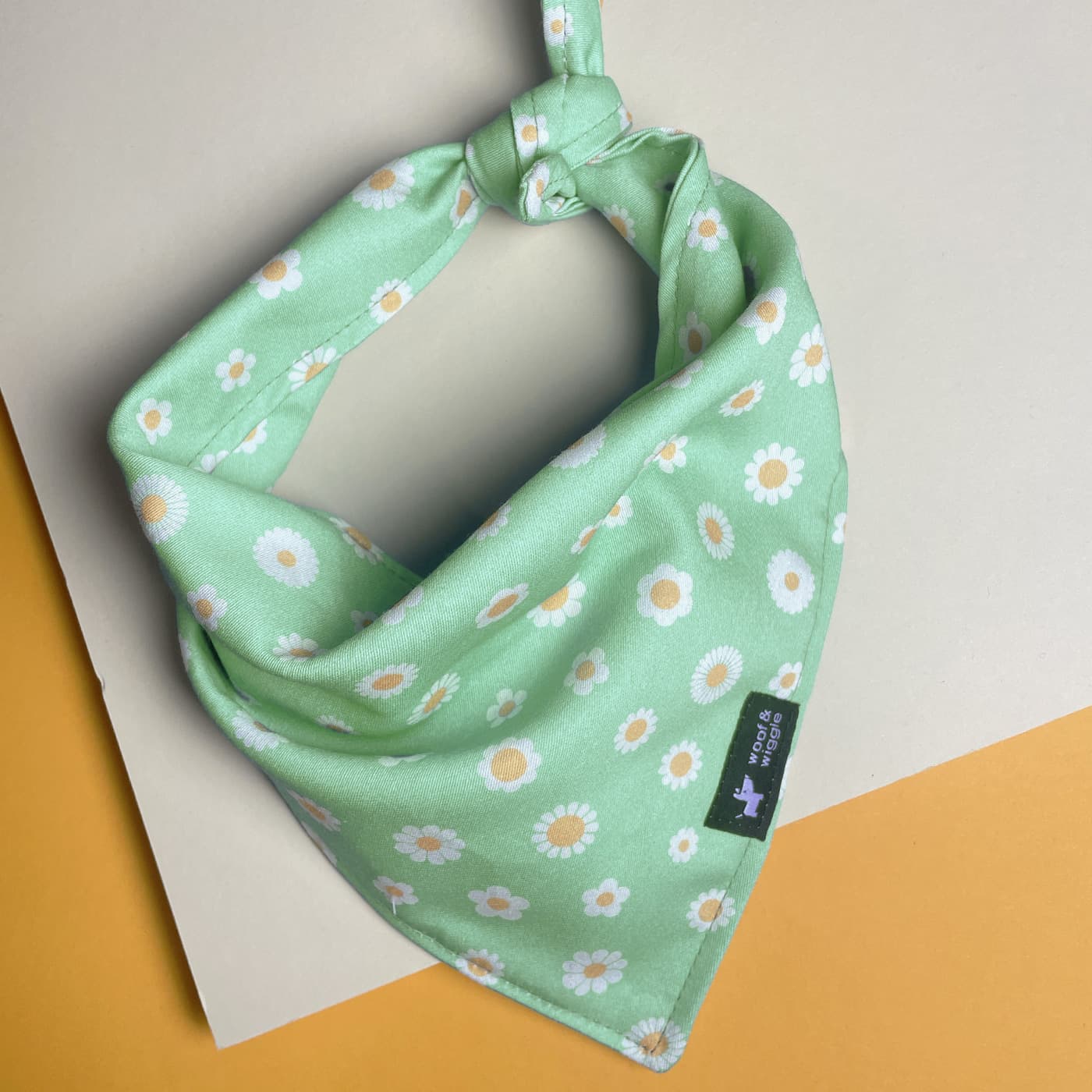 Bandana Daisy